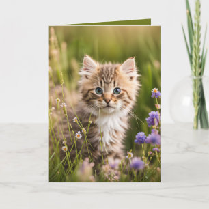 Carte Chaton D'Anniversaire En Fleur sauvage