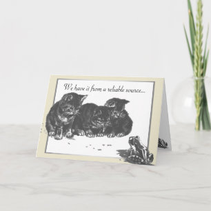 Carte Chaton Grenouille Anniversaire