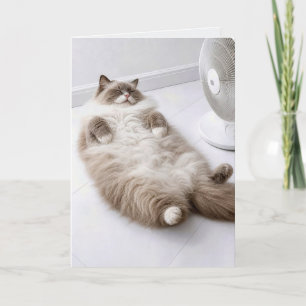 Carte Chaton Ragdoll d'anniversaire se rafraîchissant av