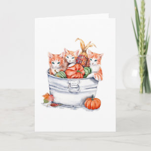 Carte Chatons de récolte