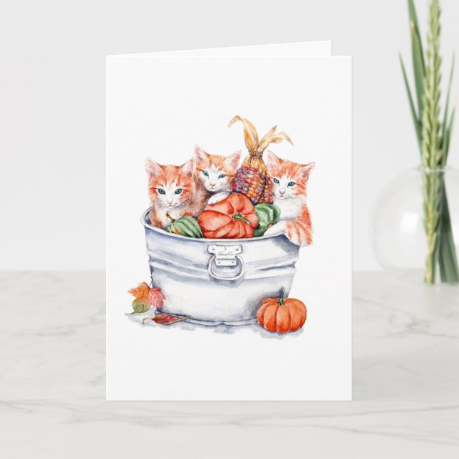 Carte Chatons de récolte (Devant)