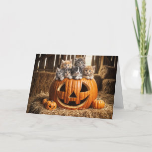 Carte Chatons En Grange Halloween Citrouille