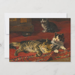 Carte Chatons   Julius Adam le Jeune