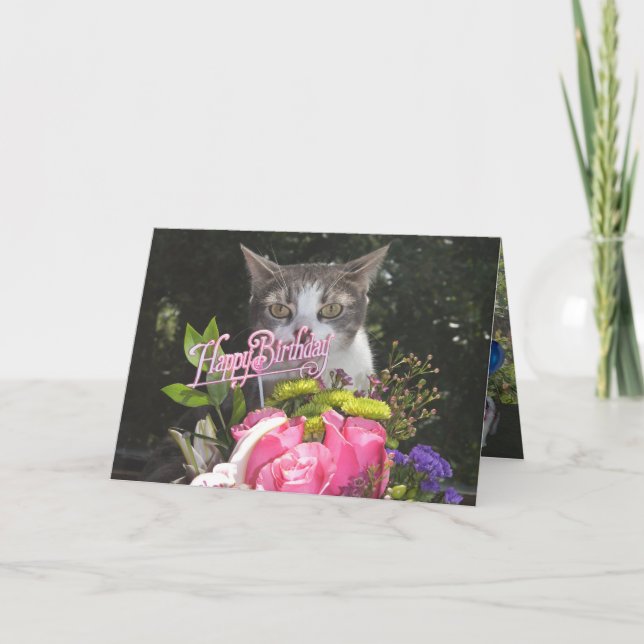 Carte Chats amusants / Kitties Joyeux anniversaire de no (Devant)