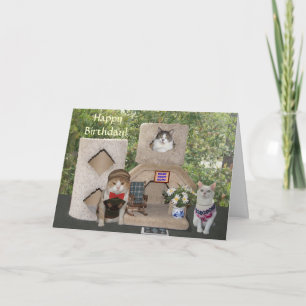 Carte Chats amusants / Kitties Joyeux anniversaire de no