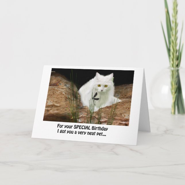 Carte chats blancs et libellules recadrés, texte d'anniv (Devant)
