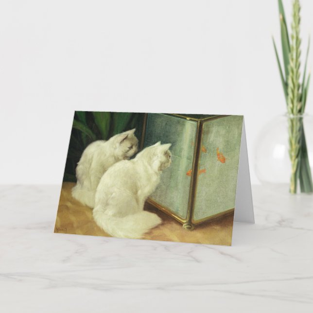 Carte Chats blancs observant le poisson rouge (Devant)