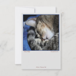 Carte Chats confortables