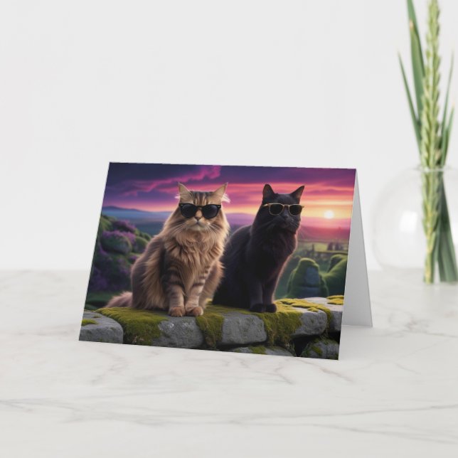 Carte Chats cool (Devant)