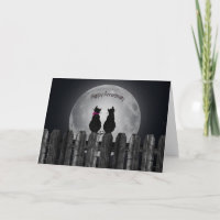 Chats d'anniversaire au clair de lune