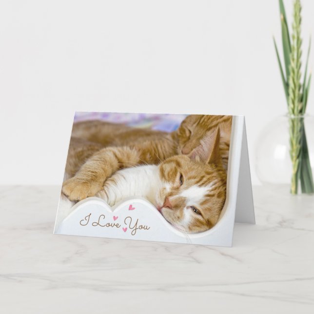 Carte Chats d'anniversaire au lit (Devant)