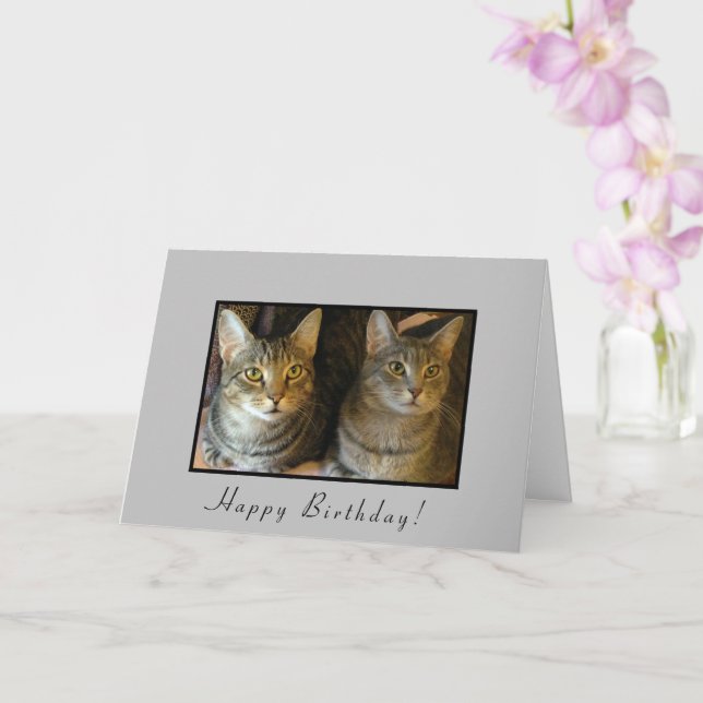 Carte Chats d'anniversaire branchés (Orchidée)