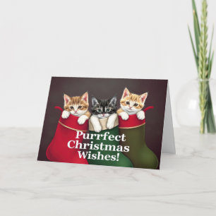 Carte Chats de voeux de Noël