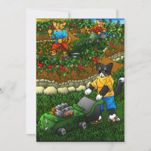 Chats d'été