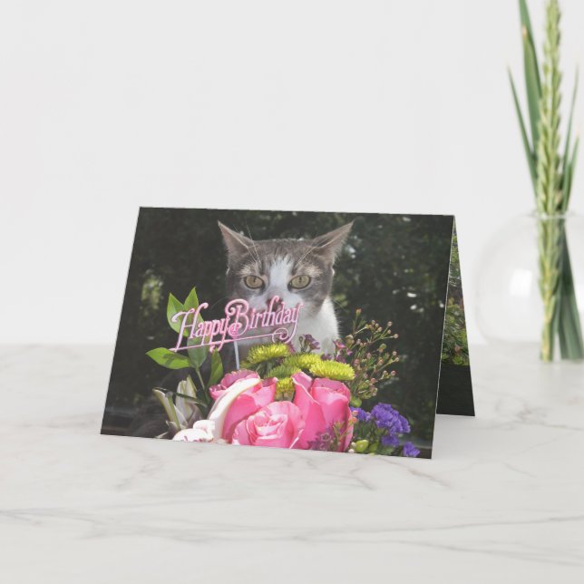 Carte Chats Drôle/Kitts Joyeux Anniversaire Éstrangé Cou (Devant)