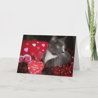 Carte "Chats et baisers"