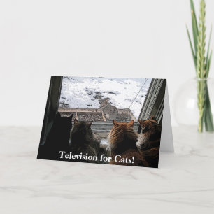 Carte Chats et écureuils