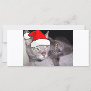 Carte Chats gris bleu russe de Noël