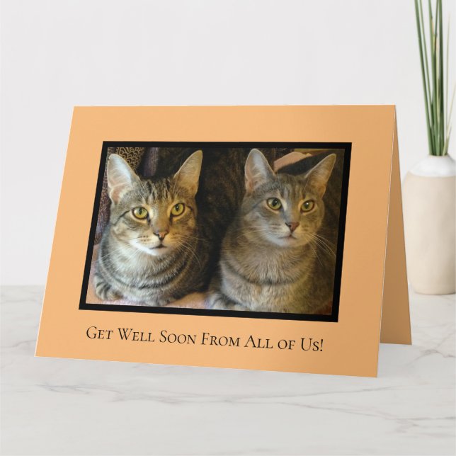 Carte Chats mignons Animaux joyeux Parrot Se Bien Bientô (Devant)