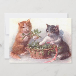 Carte Chats & Mistletoe