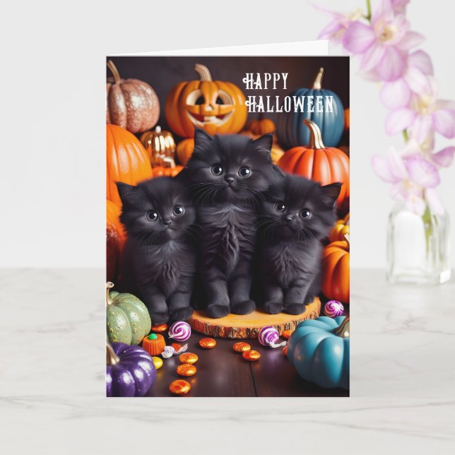 Carte Chats noirs d'Halloween avec Citrouilles et bonbon (Orchidée)