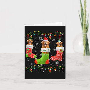 Carte Chaussettes de Noël Golden Retriever Chien Lumière