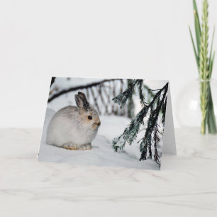 Carte Chaussure à neige Lièvre hiver Snow Nature Scène