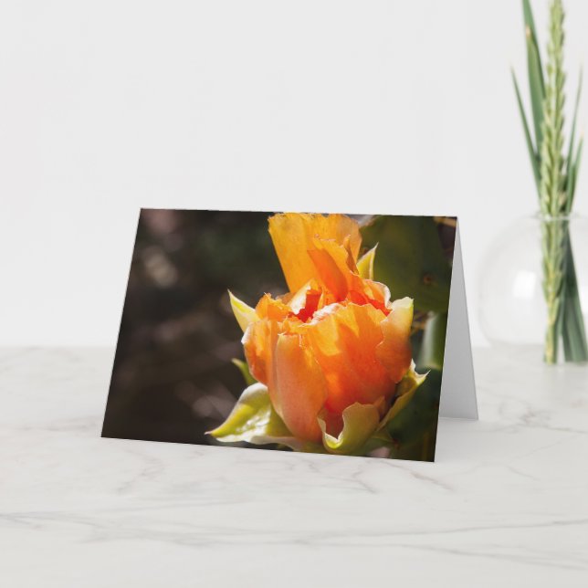 Carte Cheerful Blank (Devant)
