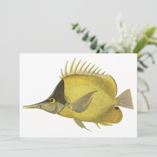 Carte Chelmon Tropical Jaune Longirostris, Poisson Vinta