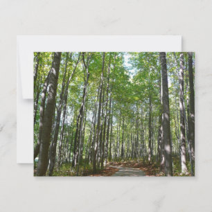 Carte Chemin en bois centenaire II Ellicott City Marylan