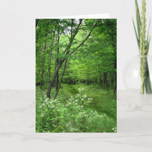 Carte Chemin forestier