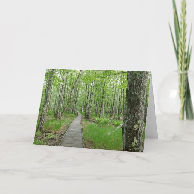 Carte Chemin Jesup Sentier (Devant)