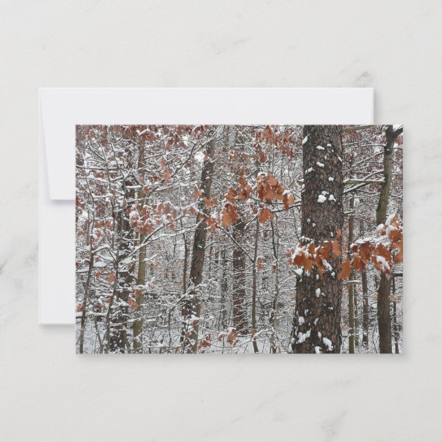 Carte Chênes couverts de neige hiver Photographie de la  (Devant)