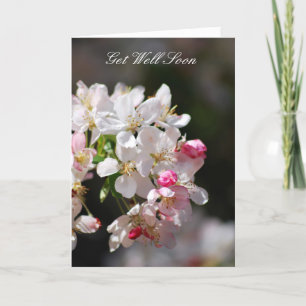 Carte Cherry blossoms Get Well Soon