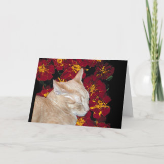 Carte Cheshire Kitten