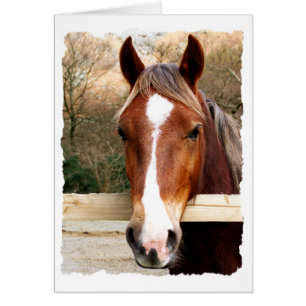 CARTE CHESTNUT HORSE