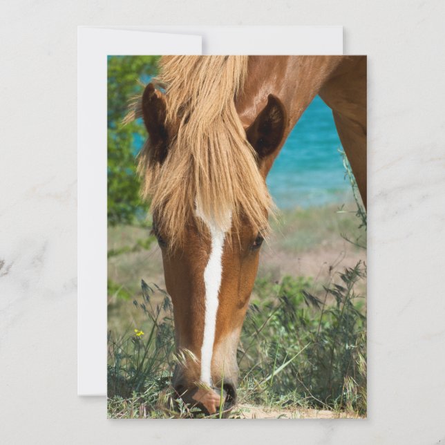 Carte Cheval (Devant)