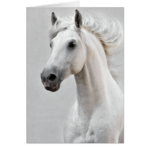 Carte Cheval