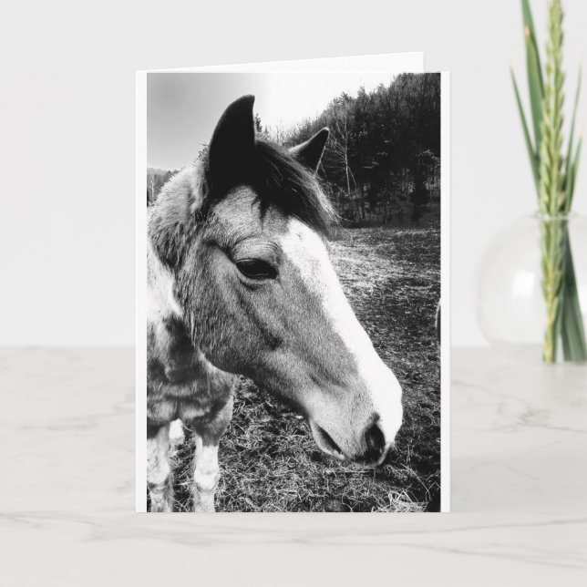 Carte Cheval (Devant)