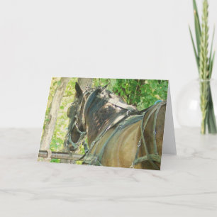 Carte Cheval Amish à Hitching Post Toutes les occasions