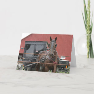 Carte Cheval Amish et Buggy