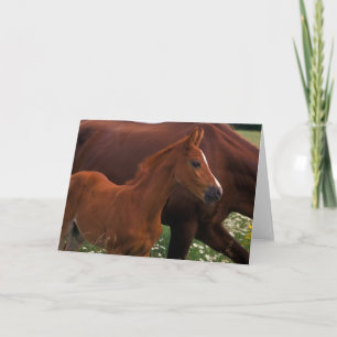 Carte Cheval Arabe près de Mère