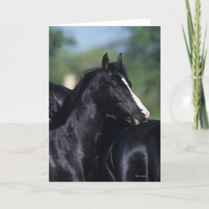 Carte Cheval Arabe qui s'écroule