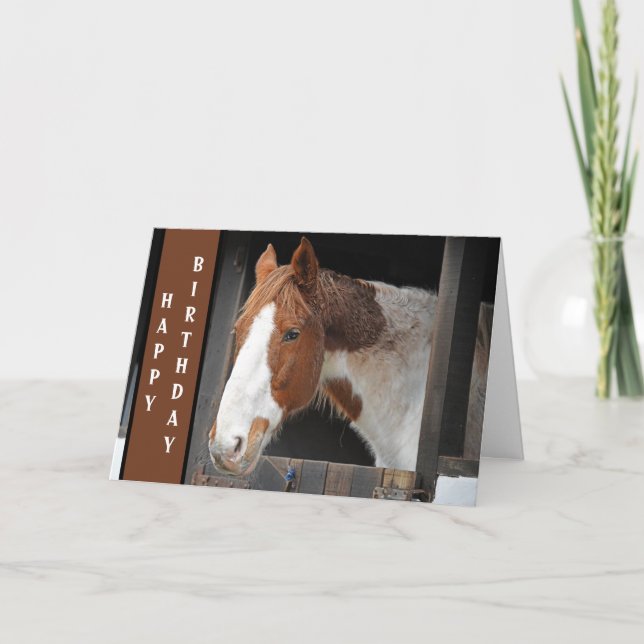 Carte Cheval au gingembre à la ferme Juste une fille qui (Devant)