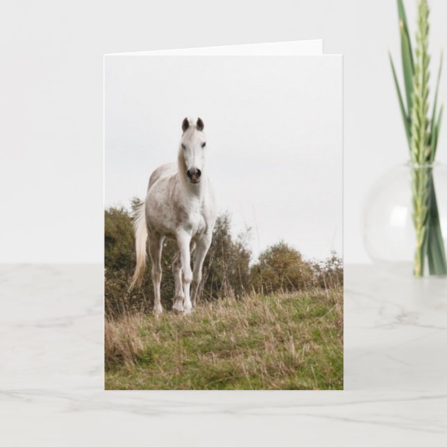 Carte Cheval blanc (Devant)