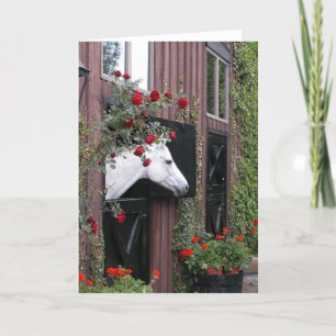Carte Cheval blanc avec des roses