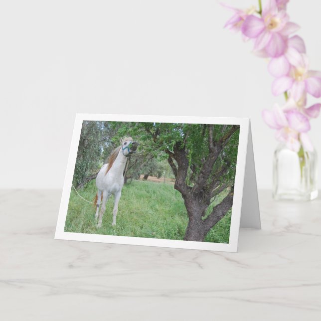 Carte Cheval Blanc dans un Champ d'Herbe (Orchidée)