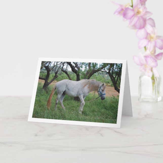 Carte Cheval blanc en champ d'herbe (Orchidée)