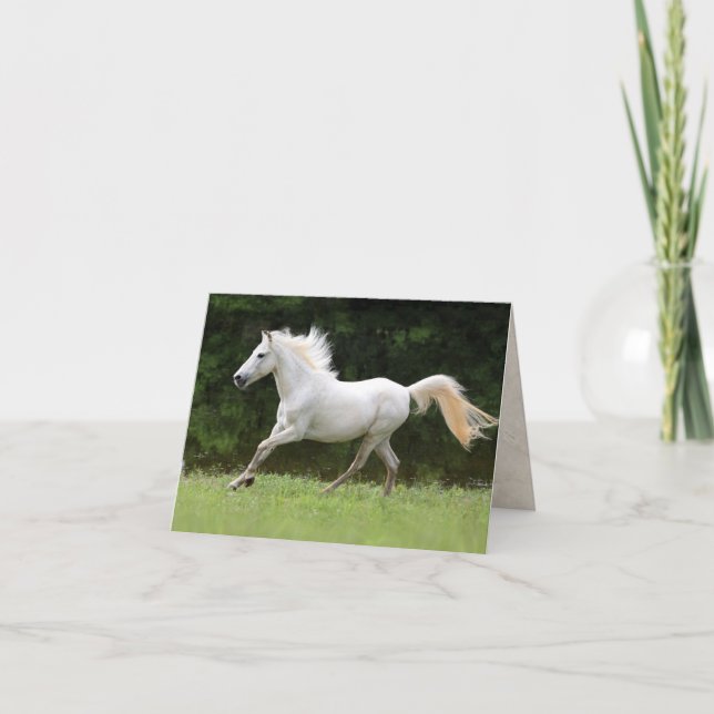Carte Cheval blanc galopant (Devant)