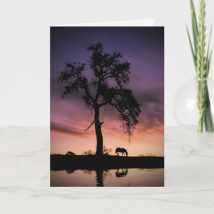 Carte Cheval Chêne Arbre Nature Eau de vous Penser